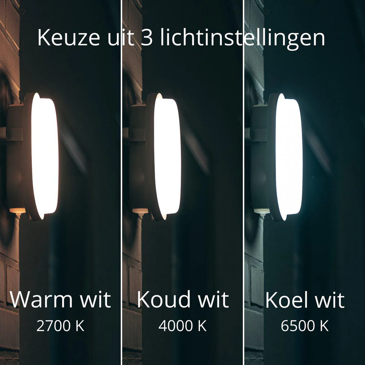 CCT Bull Eye Lamp voor plafond & wand - IP65 - Geschikt voor binnen en buiten - 18 cm - Image 3