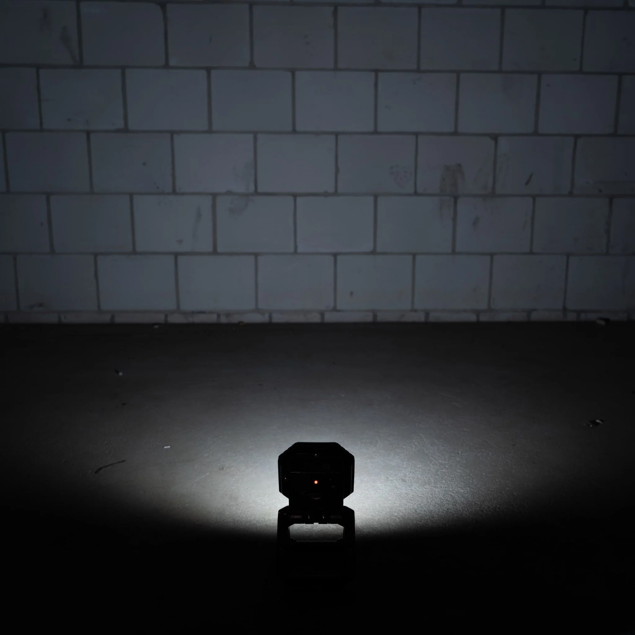 Miniatuur 2