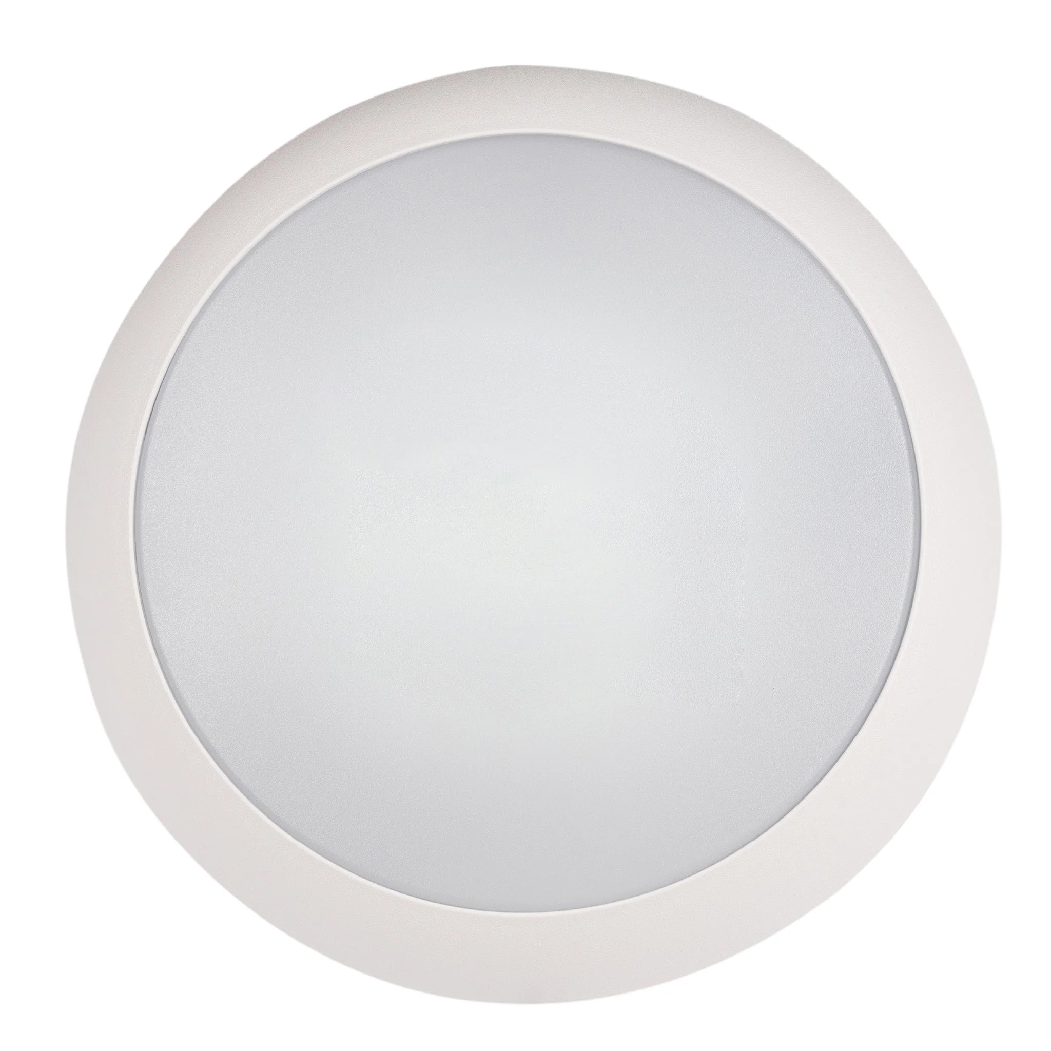 LED's Light Pro Plafondlamp 2050 met sensor - Lichtkleur en lichtsterkte dimbaar - Waterdicht - Ø 30 cm - Image 2