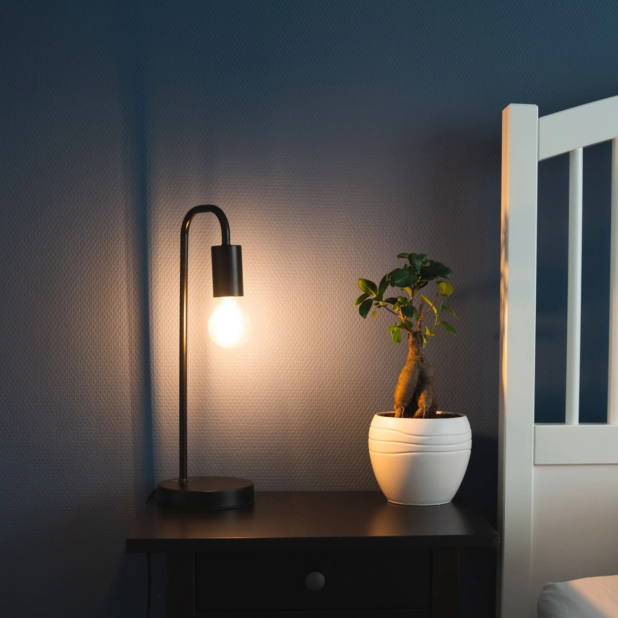 Dimbare LED filament lamp - E27 fitting - Dimbaar warm wit licht - Classic - Image 2