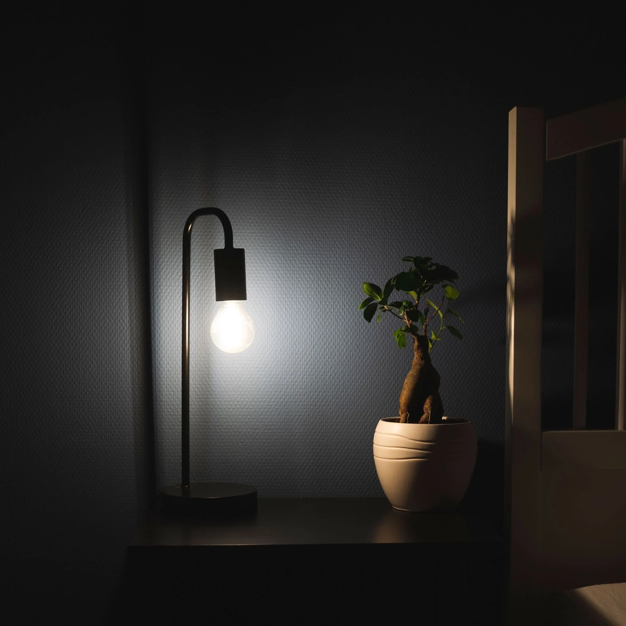 Dimbare LED filament lamp - E27 fitting - Dimbaar warm wit licht - Classic - Image 3