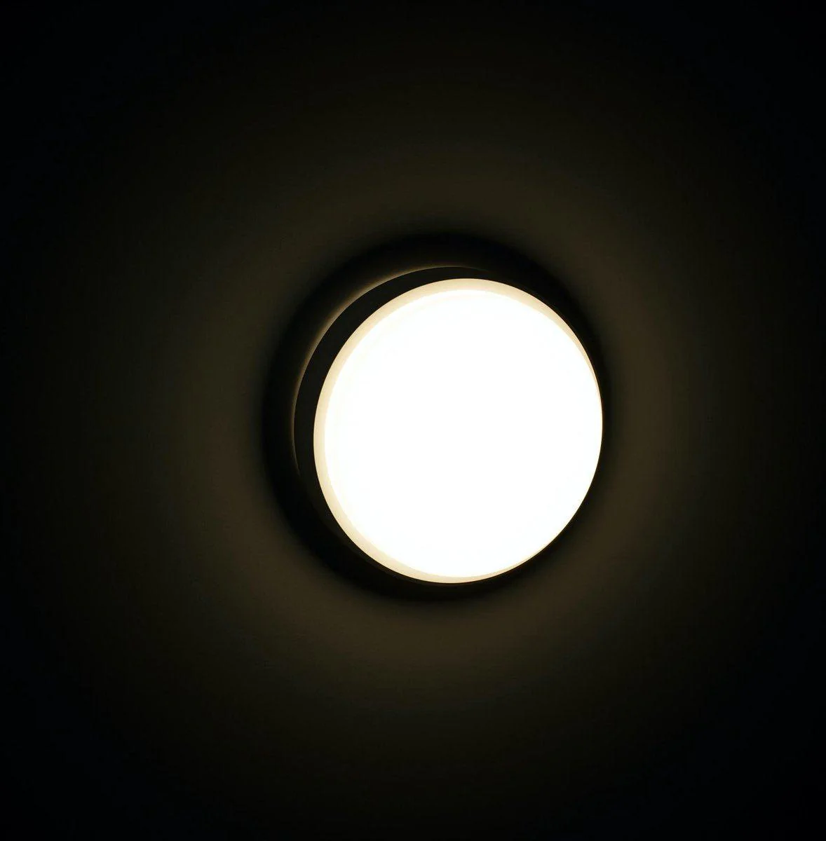 LED Plafondlamp voor buiten - Rond 21 cm - Koud wit licht - IP54 - 10W - Image 3