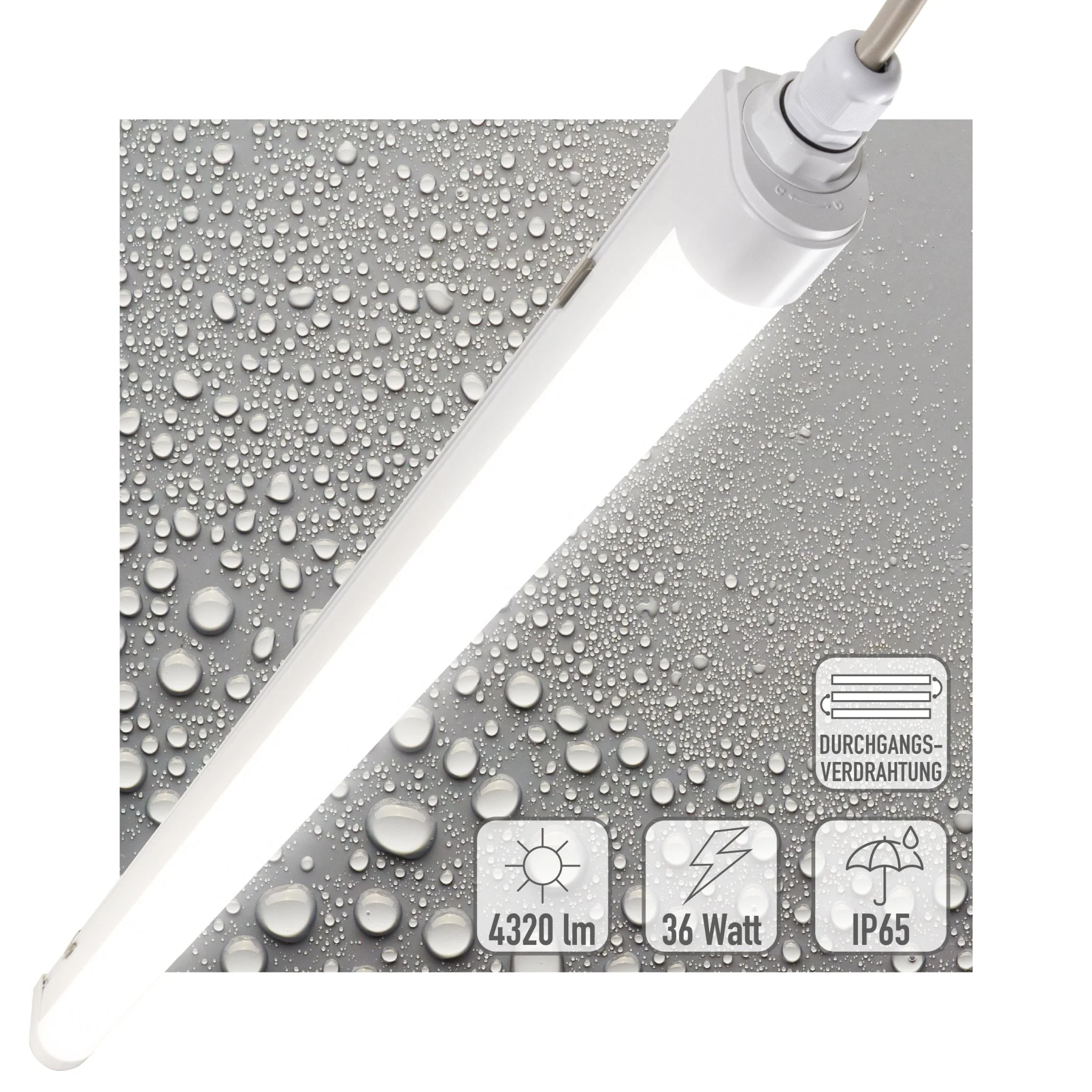 LED's Light LED TL lamp compleet  - 36W, 120cm, 4320lm 4000K - IP65 IK08 - Koppelbaar - Image 13
