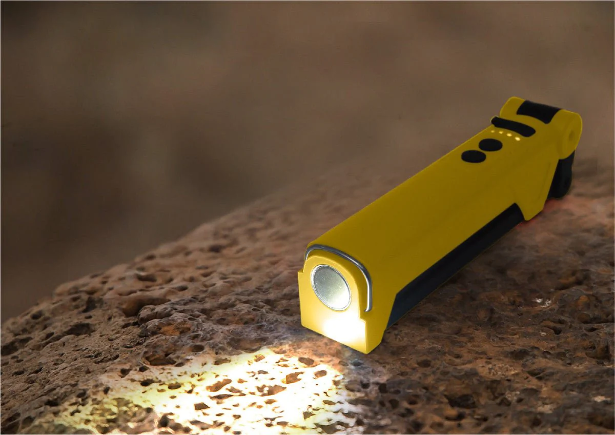 Miniatuur 2