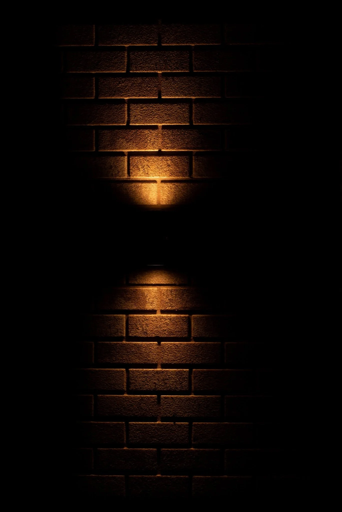 LED's Light RVS LED Muurlamp Buiten - Spot met 2 x GU10 fitting - Model Catania - IP44 - Zilver - Image 5