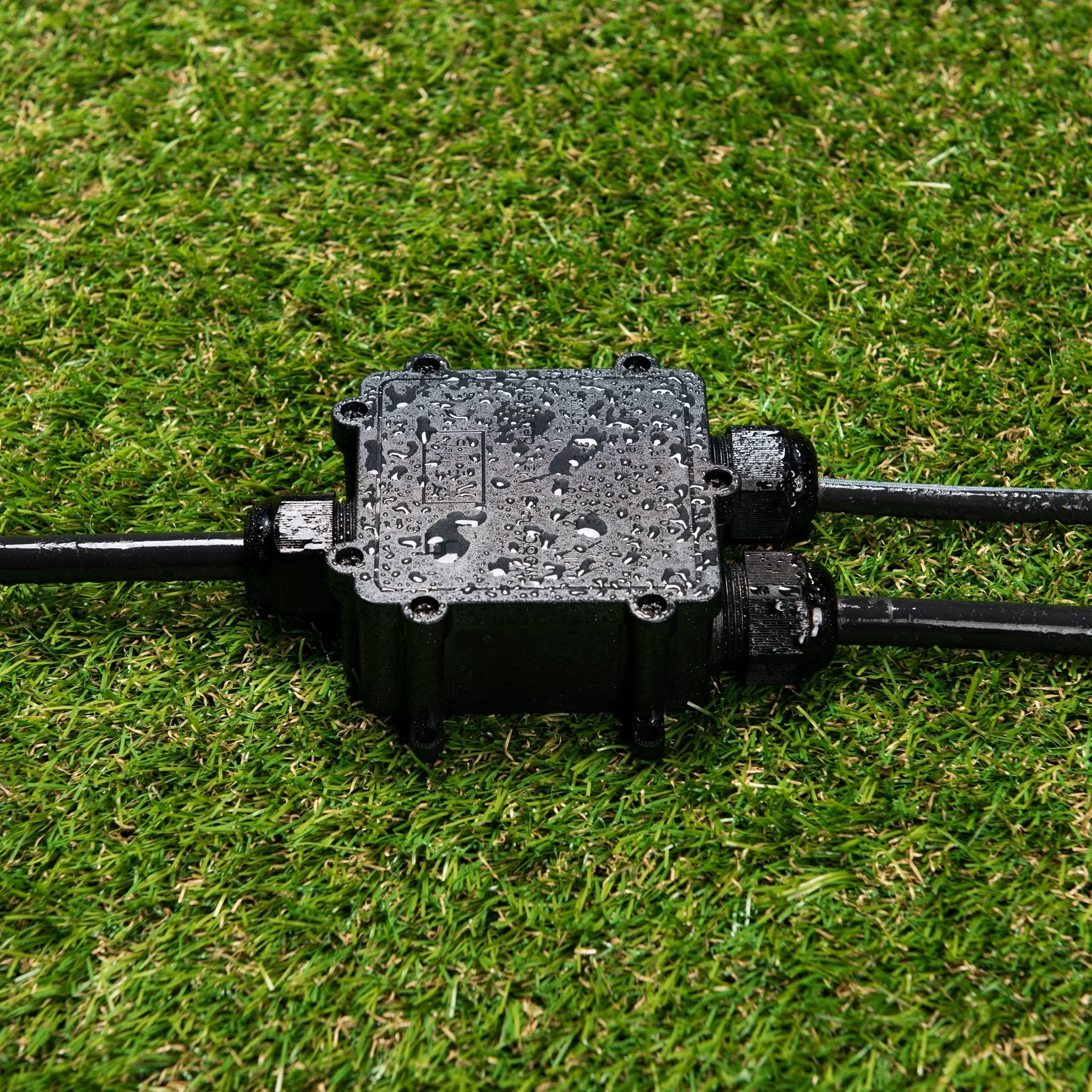 Miniatuur 2
