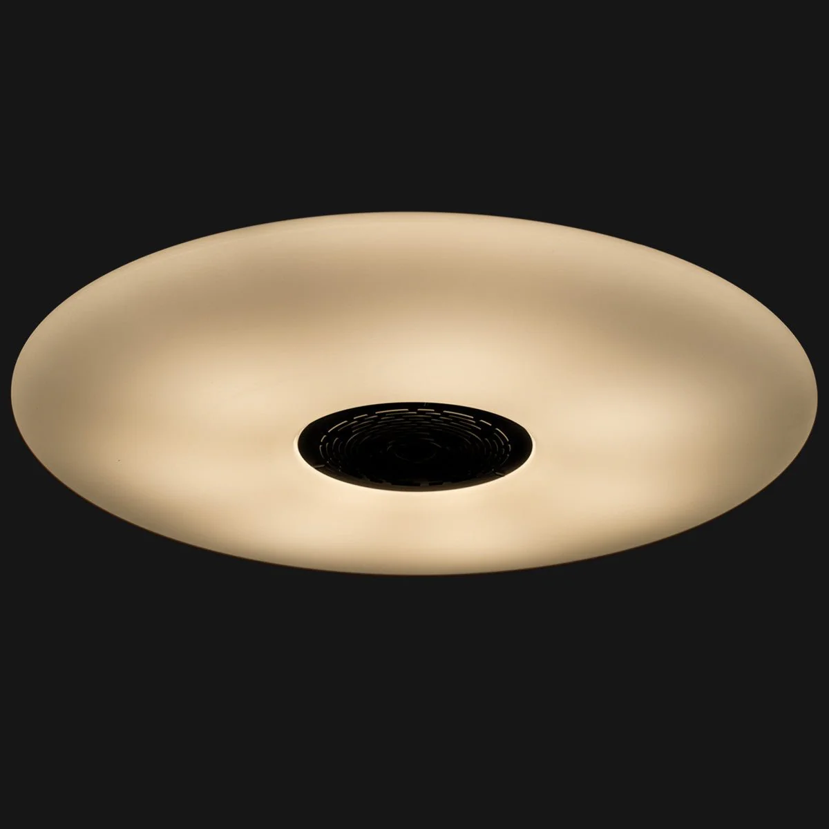 VoiceControl LED Plafondlamp 50 cm met Google Nest & Amazon Echo Dot houder - Bedienbaar met App - Image 5